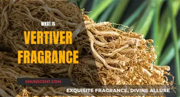 The Alluring Scent of Vetiver: A Fragrance Exploration