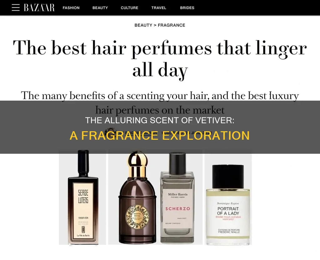 what is vertiver fragrance