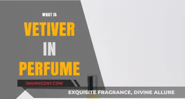 The Vetiver Perfume Note: What You Need to Know