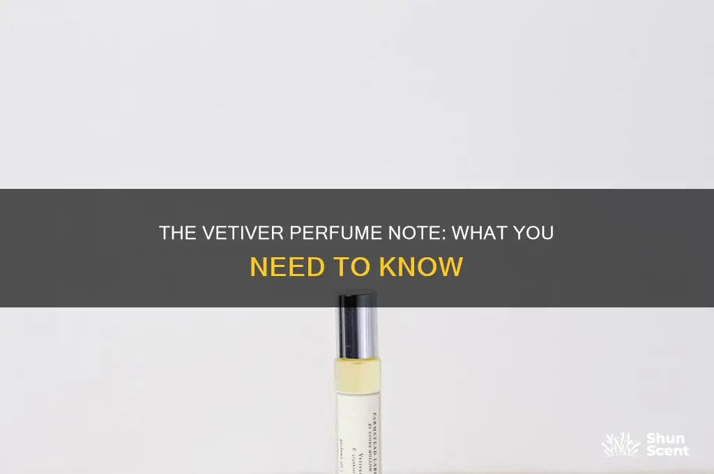 what is vetiver in perfume