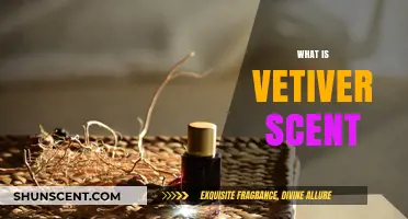 Exploring the Earthy and Soothing Aroma of Vetiver Scent