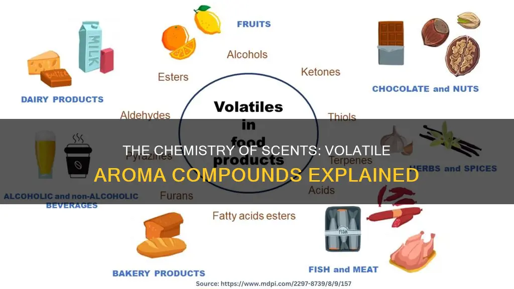 what is volatile aroma compounds