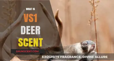 Understanding VS1 Deer Scent: Uses, Benefits, and Application Tips