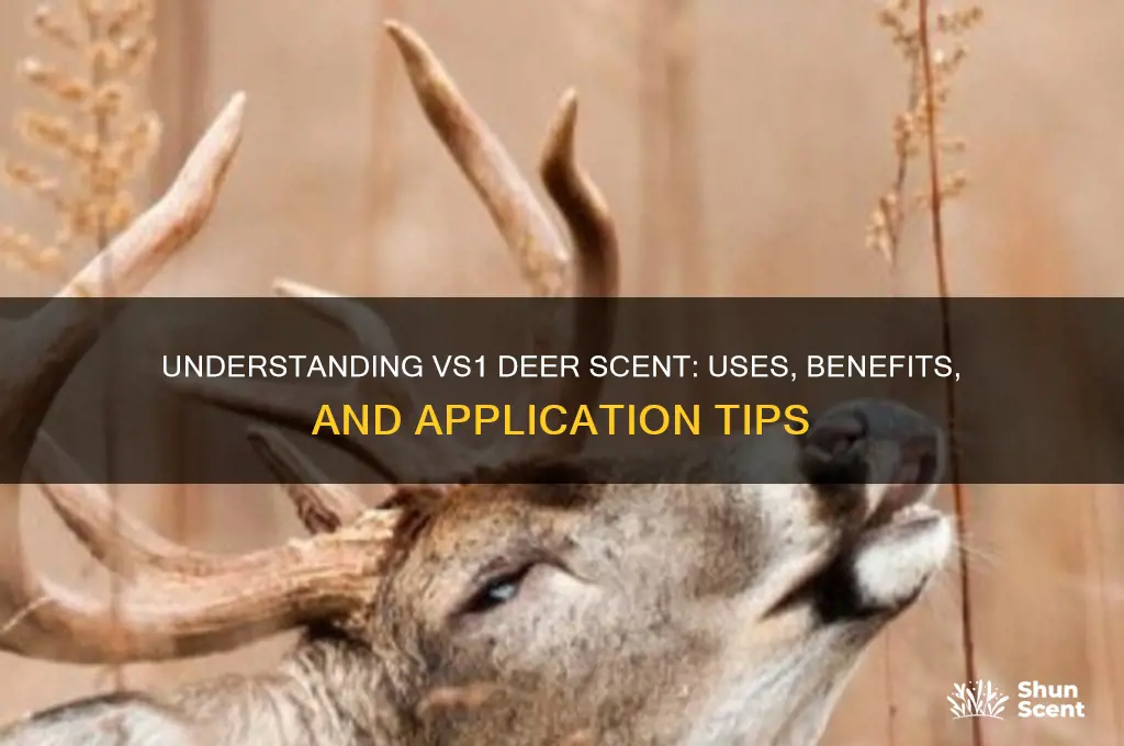 what is vs1 deer scent