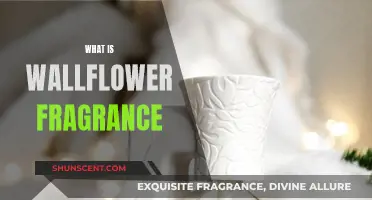 Wallflower Fragrance: A Guide to This Subtle Scent