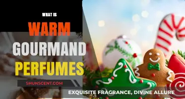 Explore the Comforting World of Warm Gourmand Fragrances
