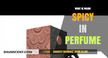 The Warm and Spicy Notes in Perfumes