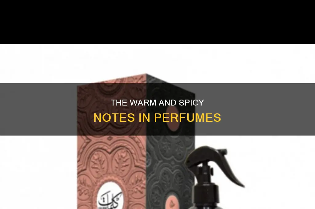 what is warm spicy in perfume