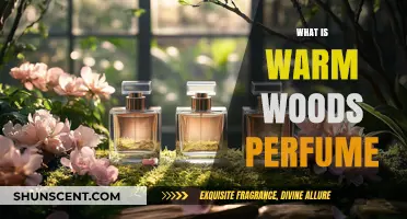Explore the Warm Woods Perfume Notes