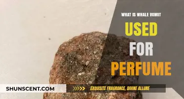 Whale Vomit: The Secret Behind Long-Lasting Perfumes