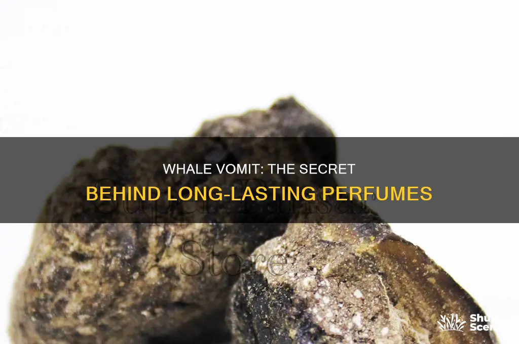 what is whale vomit used for perfume