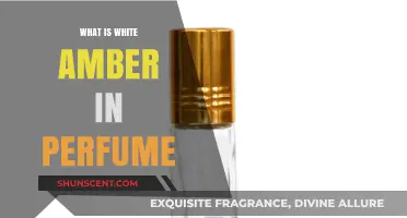 The Mystery of White Amber in Perfumes