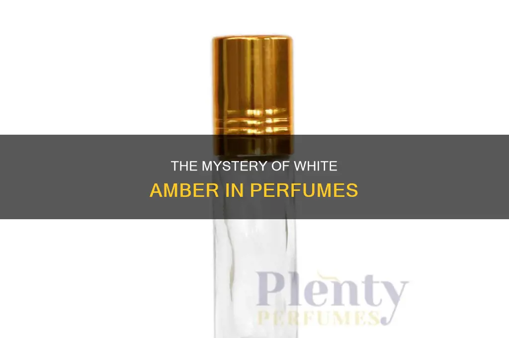 what is white amber in perfume