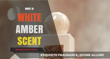 Unveiling the Mystique: Understanding the Alluring White Amber Scent