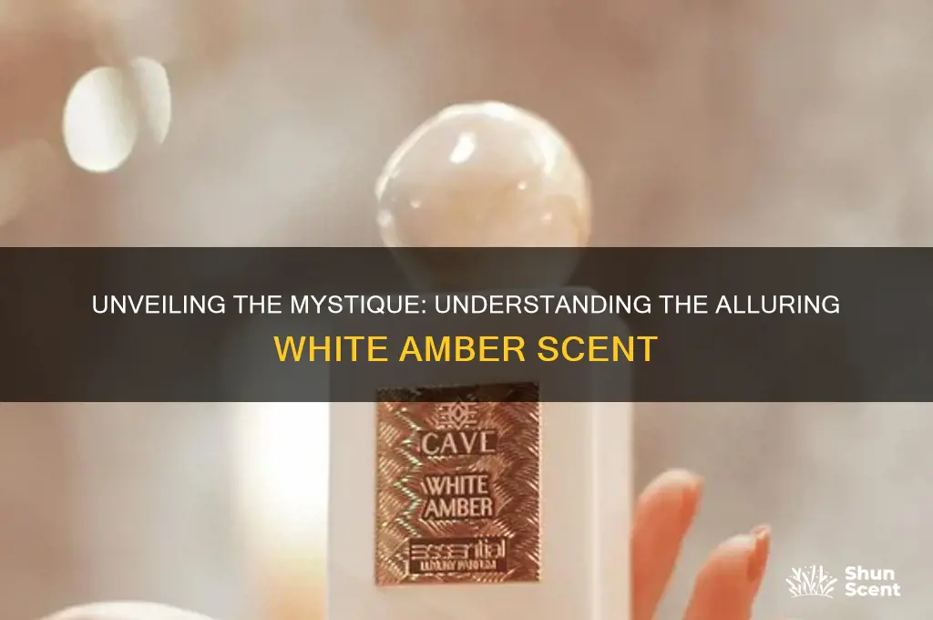 what is white amber scent