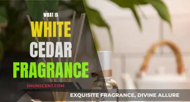 The White Cedar Fragrance: A Natural, Fresh, and Clean Scent