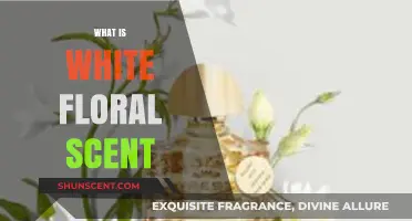 Exploring the Delicate and Timeless Allure of White Floral Scents