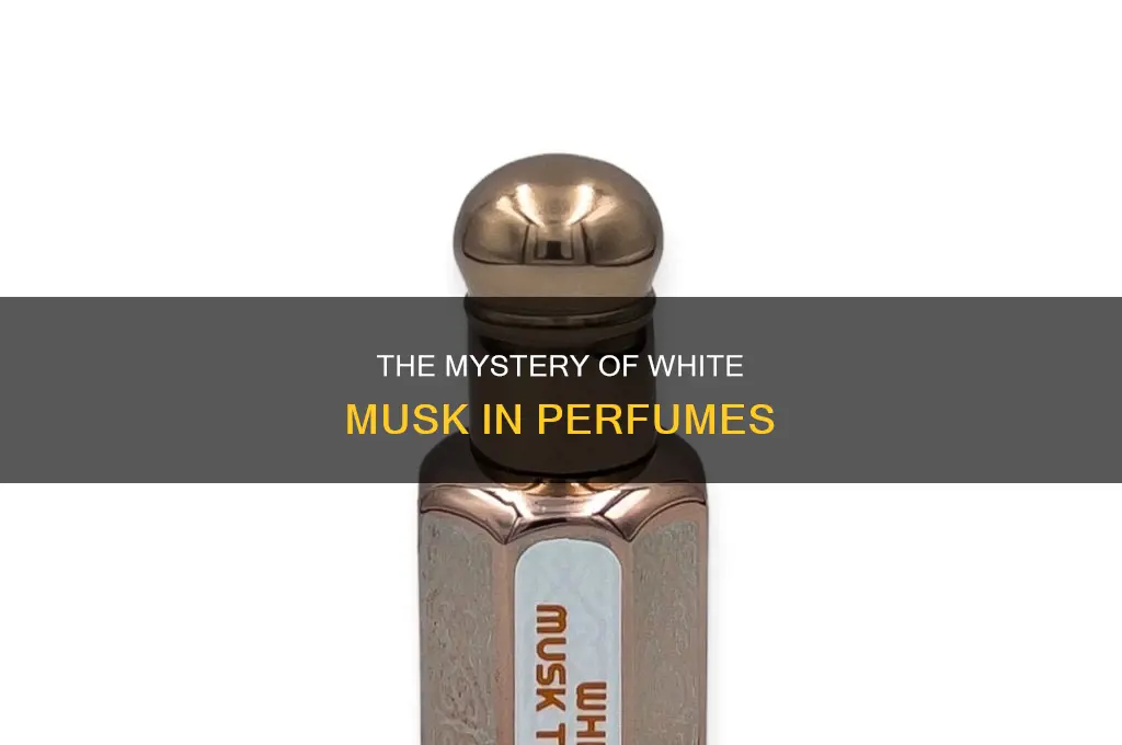 what is white musk in perfume