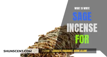 White Sage Incense: Purifying Power and Healing