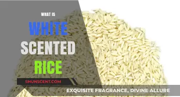 Understanding White Scented Rice: Aroma, Uses, and Cooking Tips