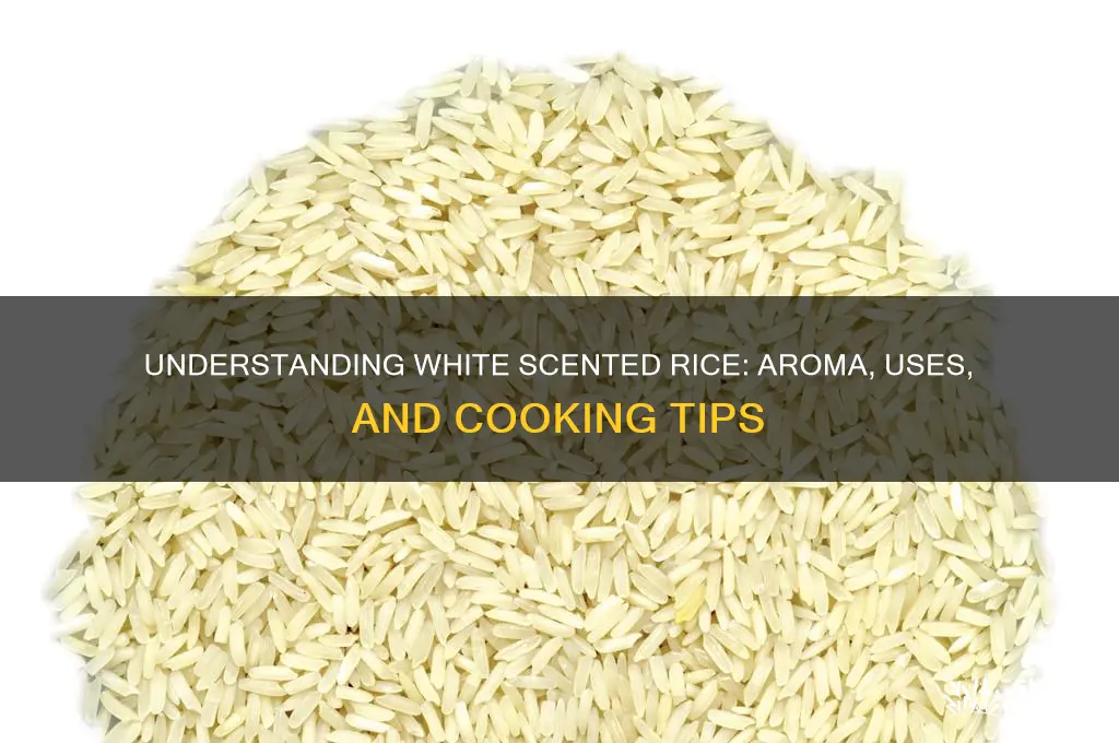 what is white scented rice