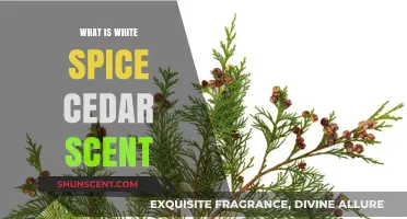 Discover the Fresh, Woody Aroma of White Spice Cedar Scent
