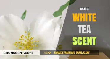 Exploring the Delicate and Floral Aroma of White Tea Scent