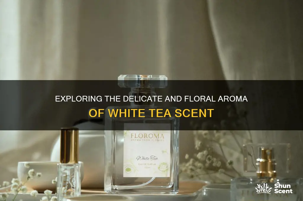 what is white tea scent