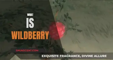 Wildberry Wonder: Nature's Sweet Secret Unveiled