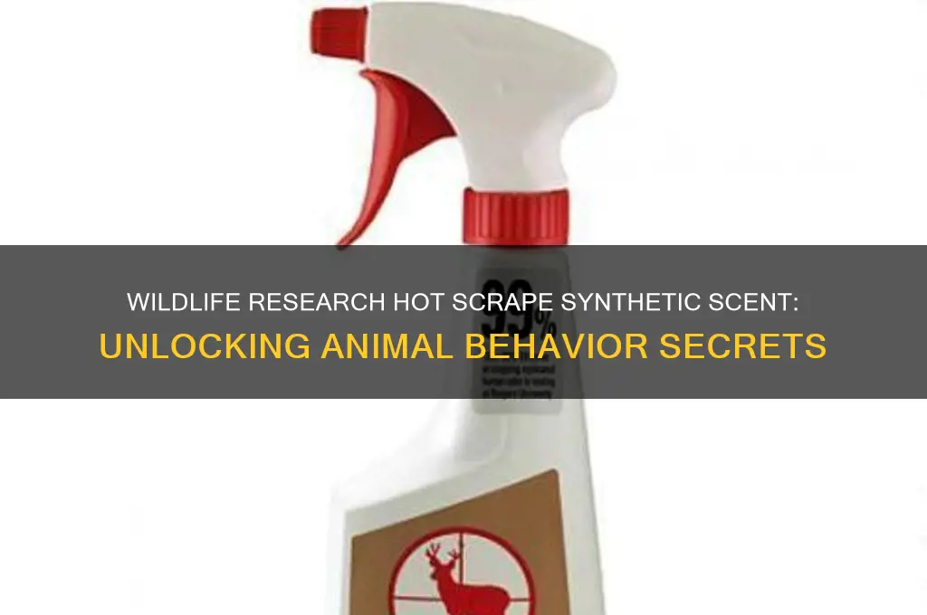 what is wildlife research hot scrape synthetic scent