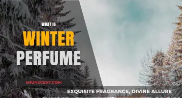 Winter Scents: Warm and Woody Fragrances