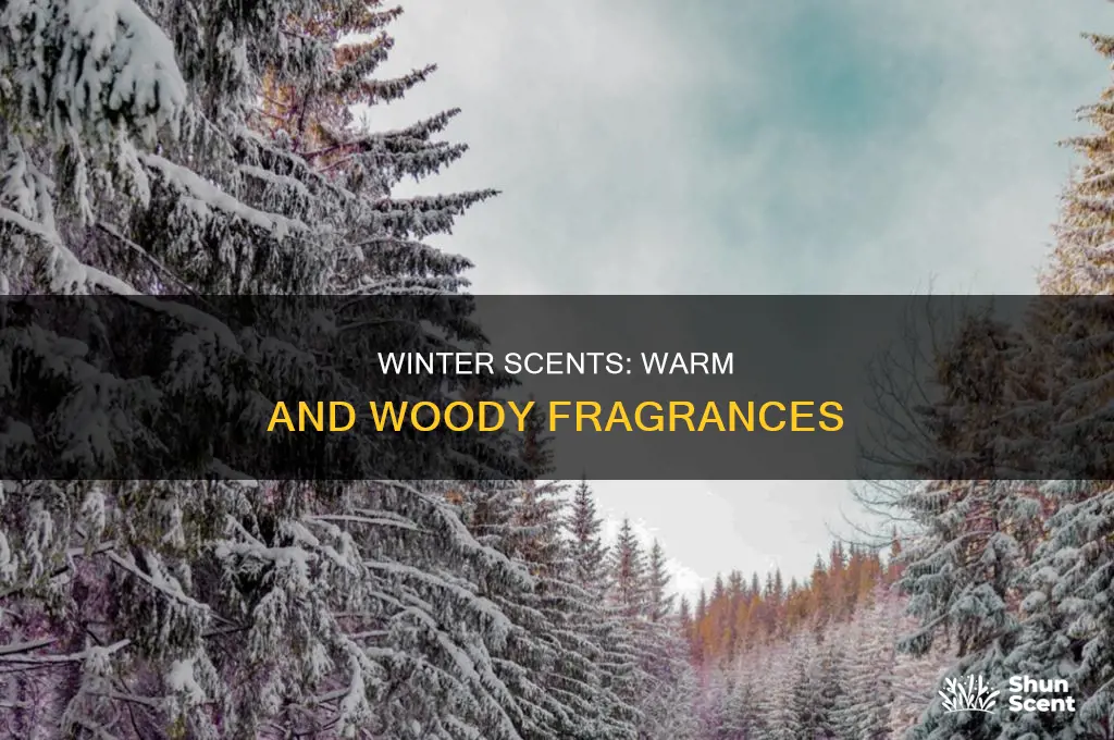 what is winter perfume