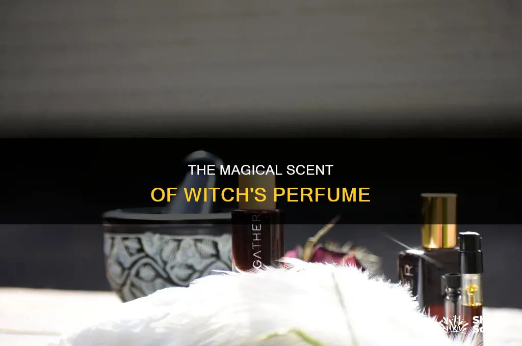 what is witch