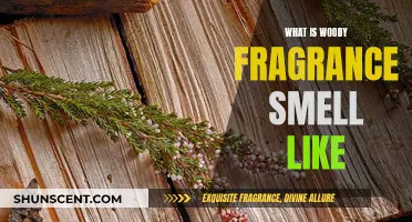 Woody Fragrances: Aromatic Scents of Nature and Adventure