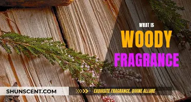 Explore Woody Fragrances: Rich, Warm, and Captivating Scents
