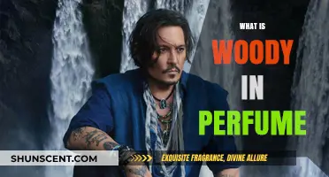 Explore Woody Notes in Perfumes