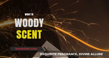 Exploring Woody Scents: Nature's Warm, Earthy Aromas in Perfumery