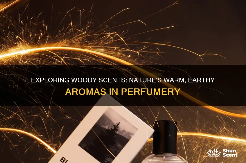 what is woody scent