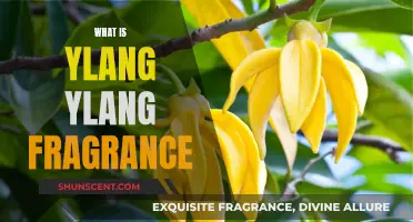 The Sweet Scent of Ylang Ylang: Understanding the Fragrance