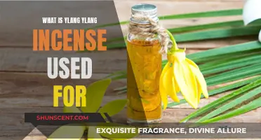 Benefits of Ylang Ylang Incense: Uses and More