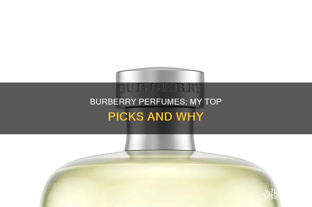 what is your favorite burberry perfume