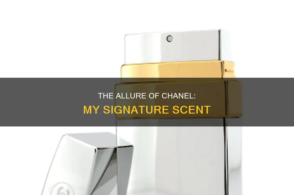 what is your favorite chanel perfume