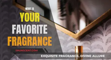 Exploring My Favorite Scents and Fragrances