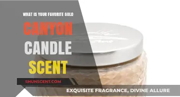 Discover the Best Gold Canyon Candle Scents for Every Mood
