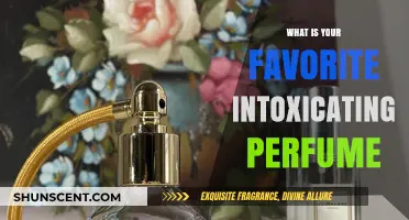 Intoxicating Scents: My Favorite Perfumes