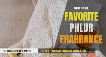 Exploring Phlur's Fragrance: My Favorite Scent Experience