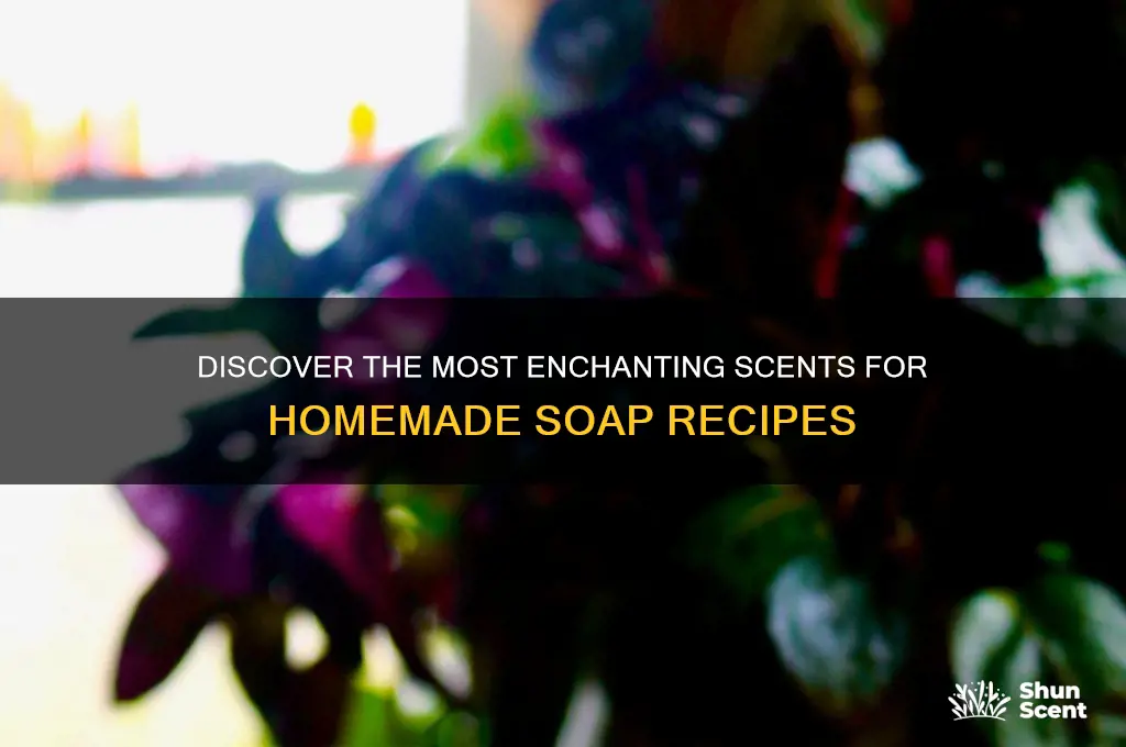 what is your favorite scent in soap recipes