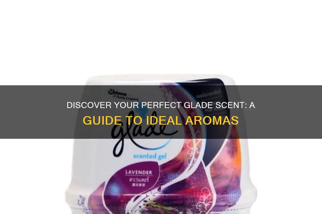 what is your ideal glade scent