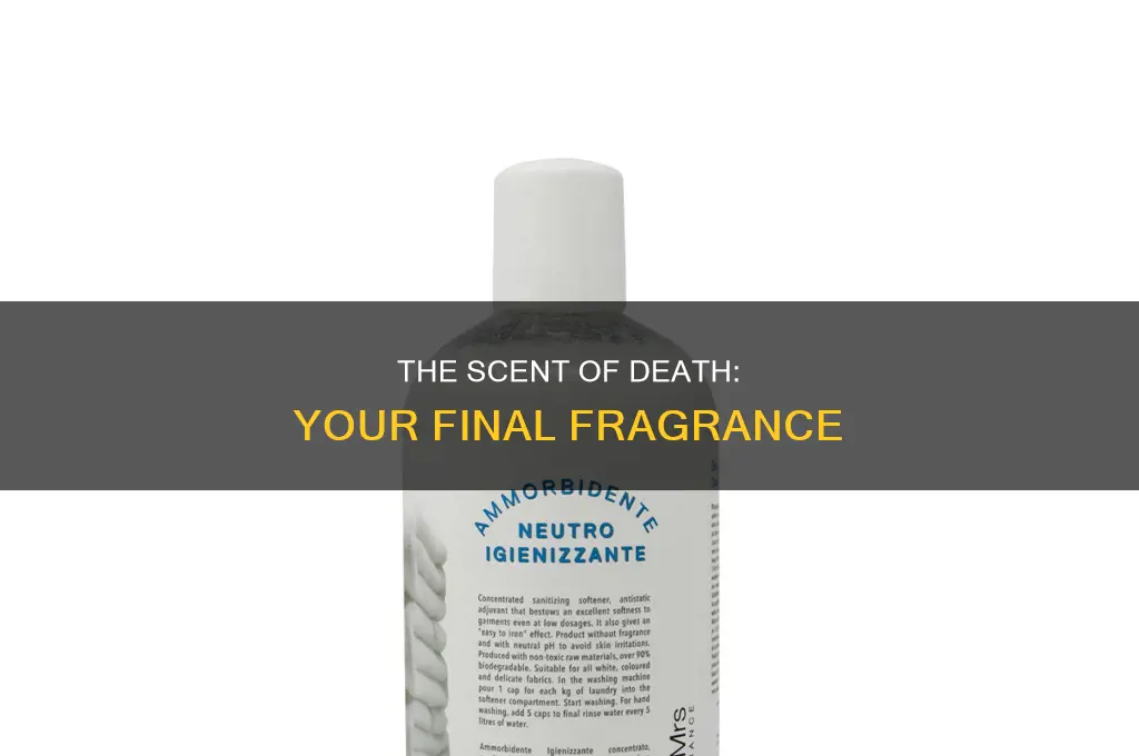 what is your perfume stench of death
