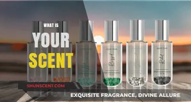 Discover Your Signature Scent: Unveiling the Essence of You